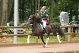 32. S2.T3 Tölt VE