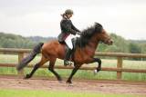 59. Z.FUF Futurity 5‐Gang VE/EA